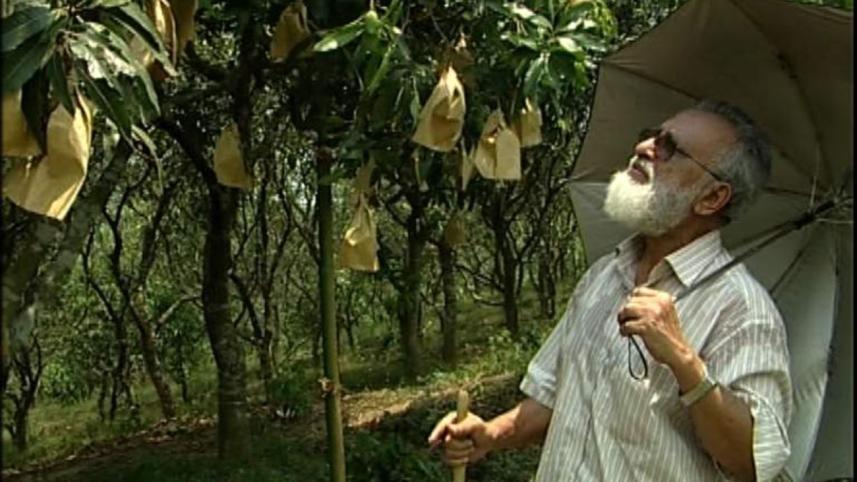 Bagging technology.jpg