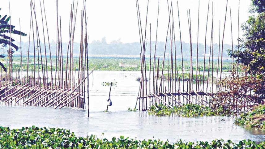 Bamboo barriers.jpg