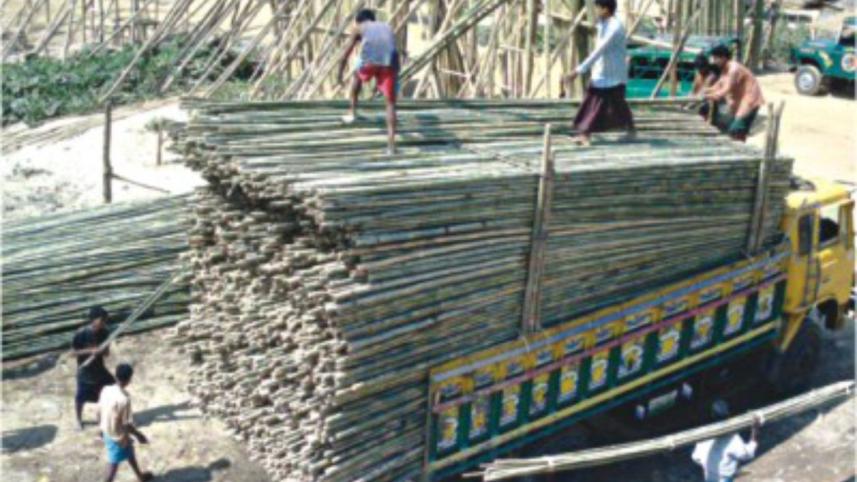 bamboo paper mill 11.jpg