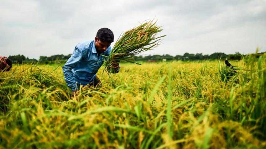 Bangladesh ranked 41st largest economy in 2019