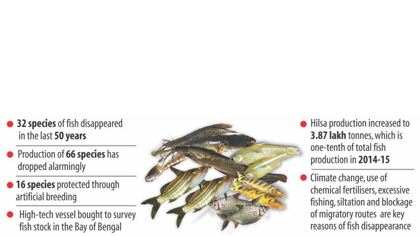 bangladesh fish production.jpg