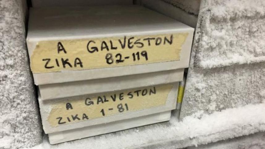 bbc-zika-frozen-in-lab-2-web.jpg