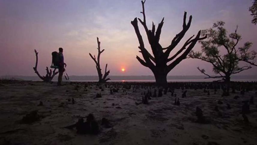 Beatuful Bangladesh new.jpg