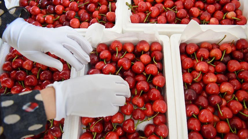 berries.jpg