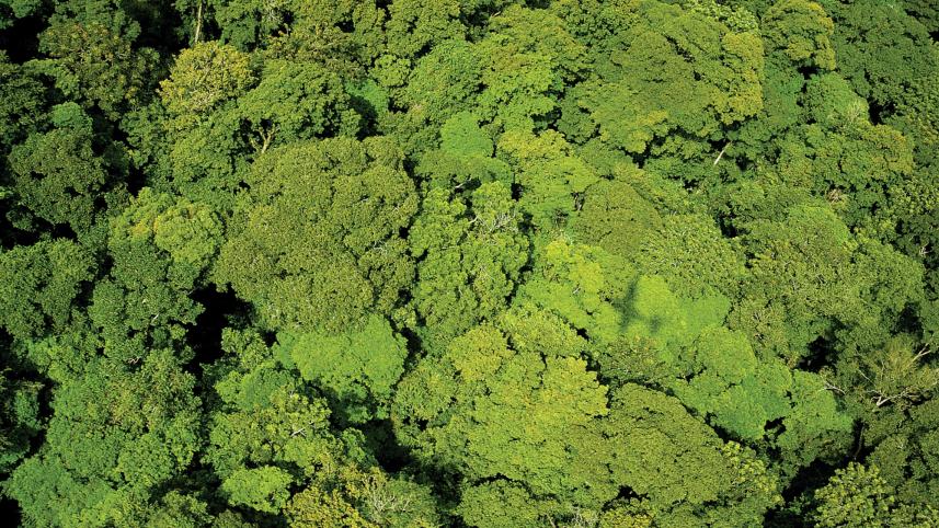 better climate action.jpg