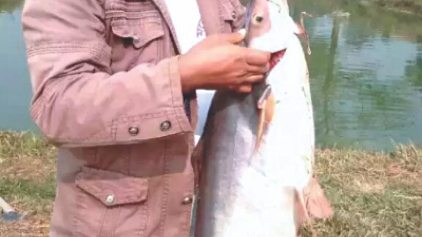 Bhaluka of Mymensingh.jpg