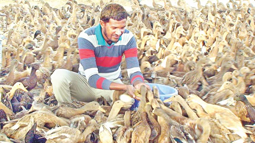 Bikash Chandra Sarker.jpg