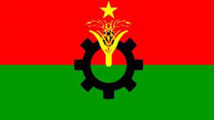 Bangladesh Nationalist Party Logo