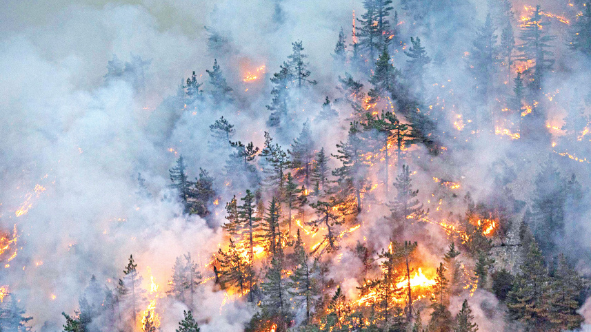 Bobcat-Fire-burns-USA.jpg
