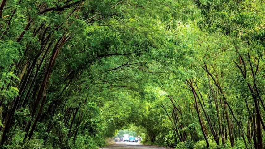 Bonayan Program of British American Tobacco Bangladesh