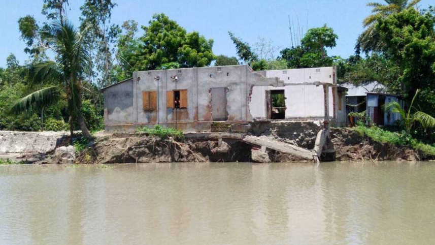 Bonsai River devours.jpg
