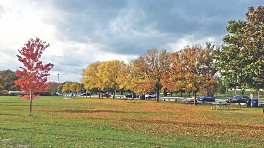 Budapest Park – a pride of Toronto city!