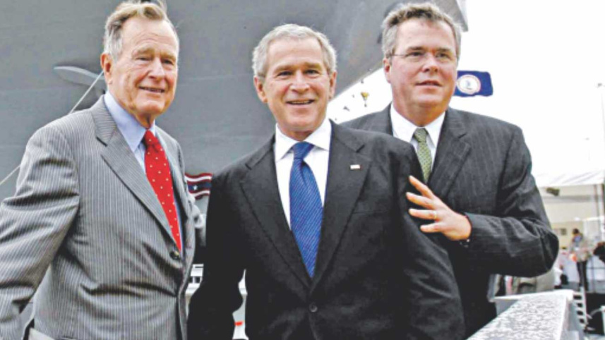 bush.jpg