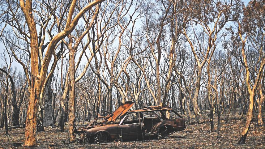 bushfires.jpg