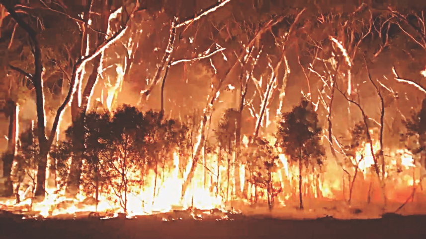 Bushfires australia.jpg