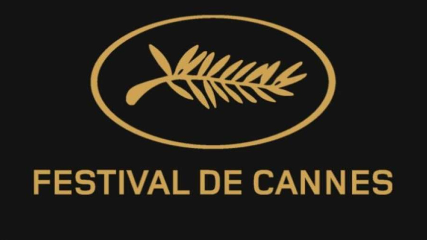 Cannes festival.jpg