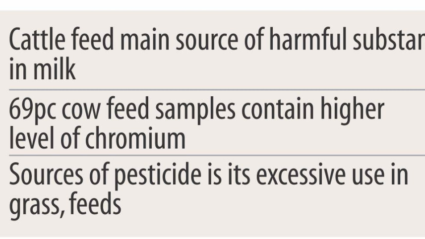 cattle feed.jpg