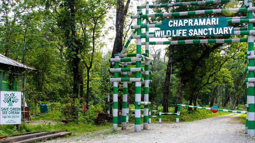 chapramari.jpg