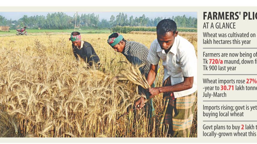 cheers to farmers.jpg