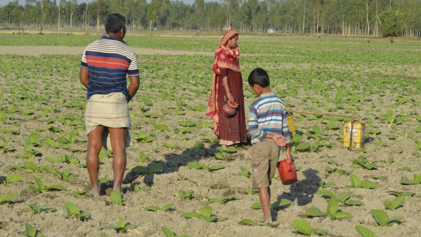 children at tobacco farms.jpg