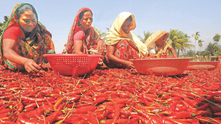 chillee production.jpg