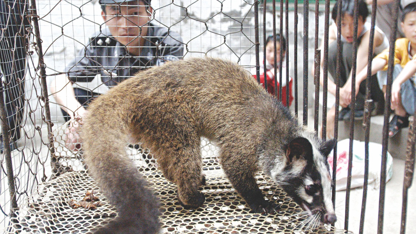 China’s animal trade.jpg