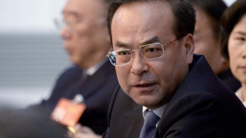 Chinese Former politician.jpg