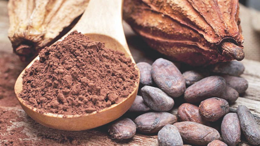 Chocolate and cocoa.jpg