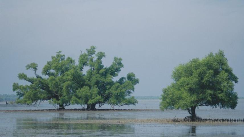 climate change issue.jpg