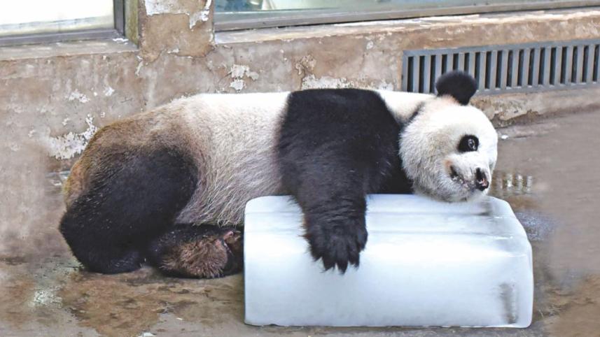 CONFESSIONS OF A NON-HUGGER