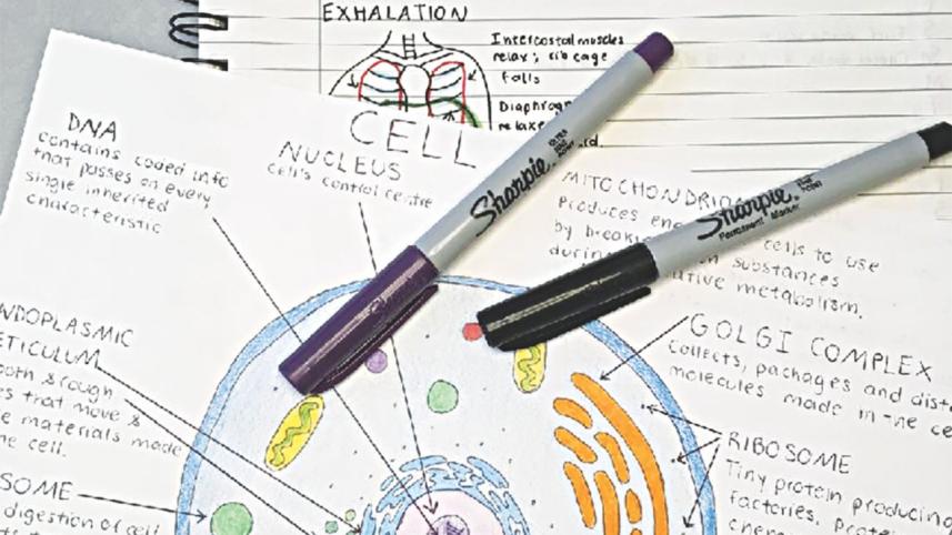 Confessions of a note maker