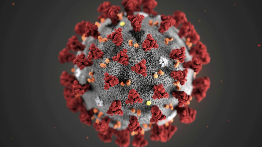corona virus.jpg