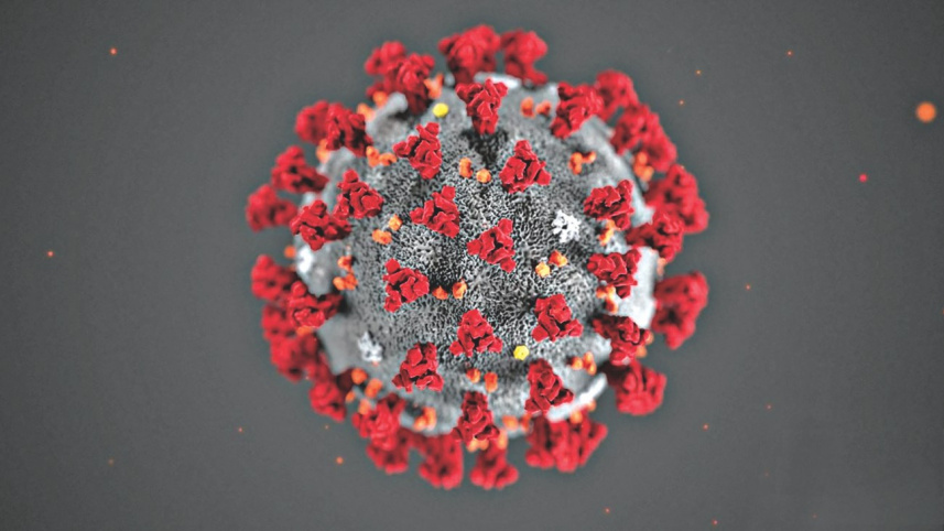 corona_virus.jpg