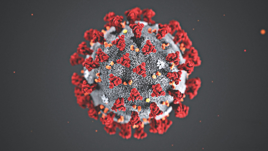 coronavirus.jpg