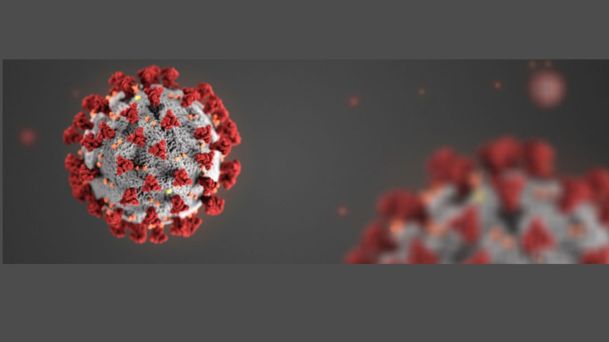 coronavirus logo.jpg