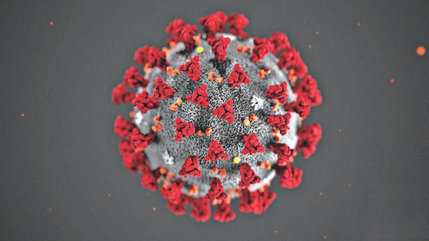 Coronavirus Outbreak