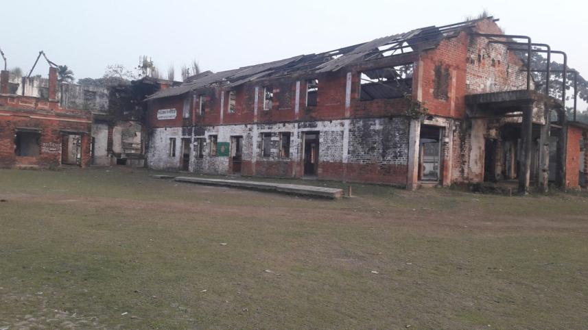 cultural heritage.jpg