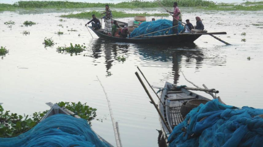 Current nets harm fish stock.jpg