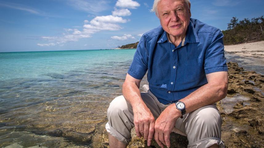 David-Attenborough-sea.jpg