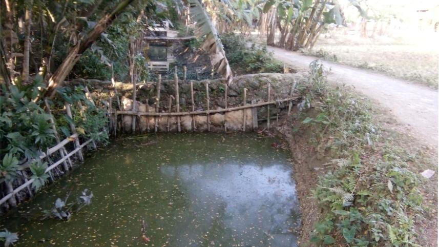 Dead canals trouble.jpg