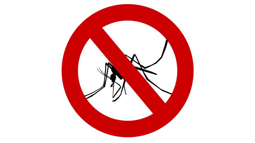 dengue-threat.jpg