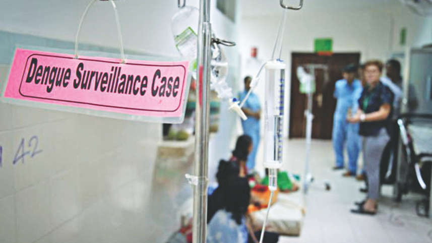 dengue outbreaks.jpg