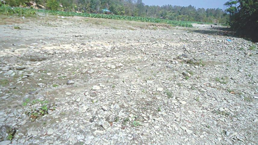 Destruction of forests