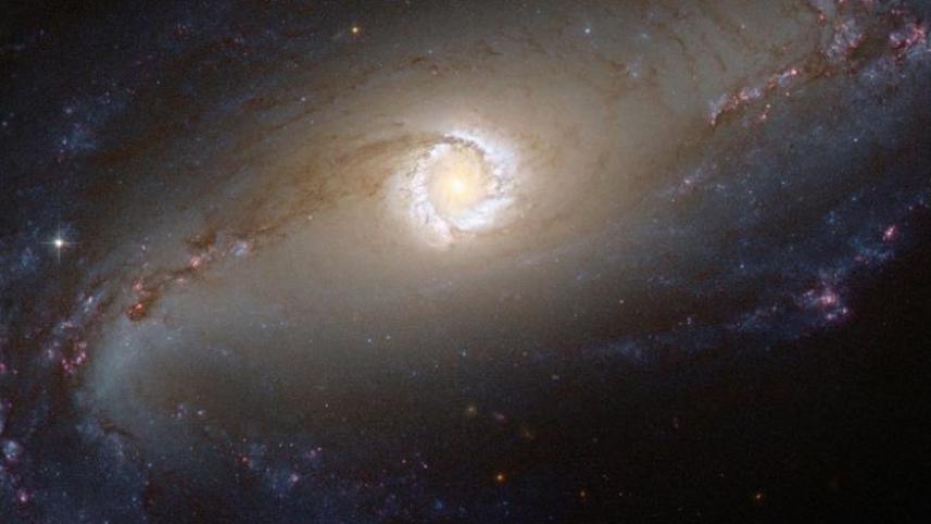 theory of relativity