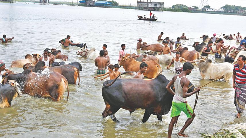 extortion from cattle traders.jpg