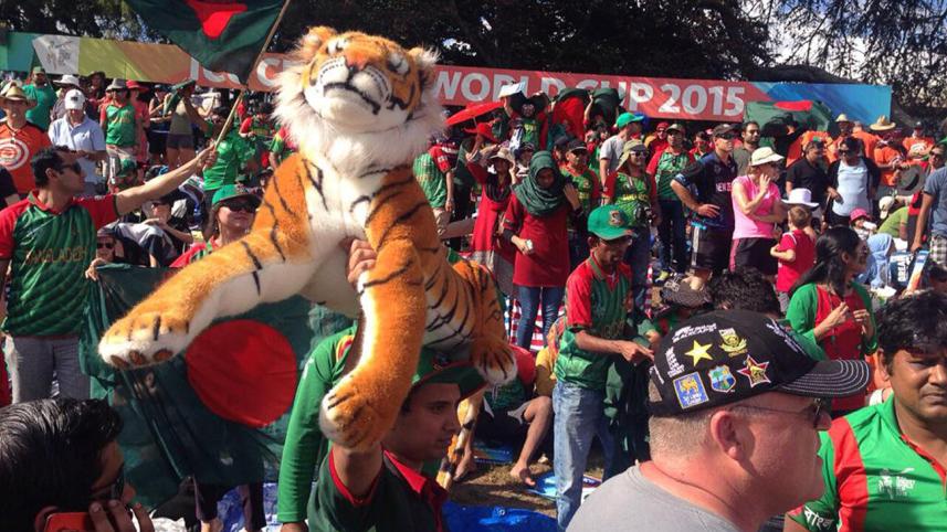 Tigers cheer for Tigers