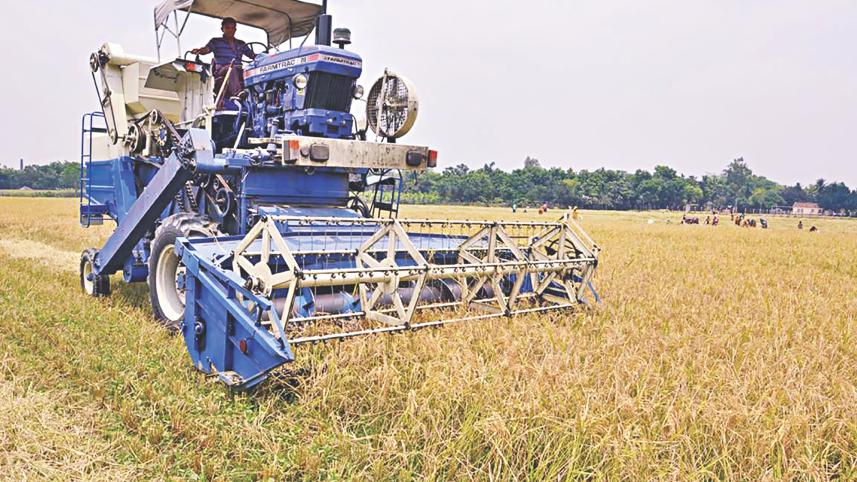 farmland of Dinajpur Sadar upazila.jpg