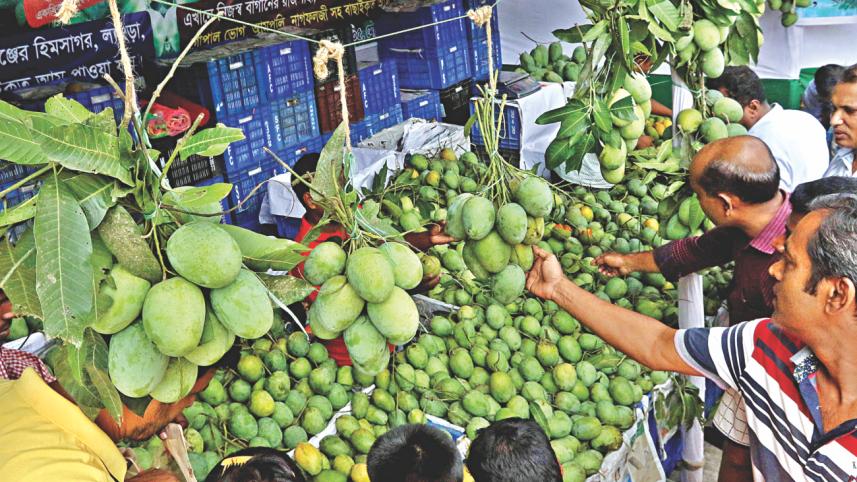 Fest of Fruits 1.jpg