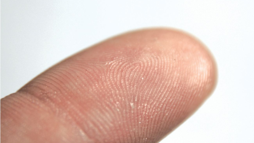 fingerprint