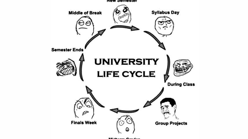 First week as a fresher